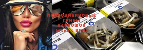 МДПВ Елабуга