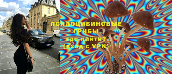 хмурый Елизово