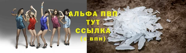 хмурый Елизово