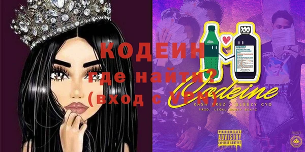 МДПВ Елабуга