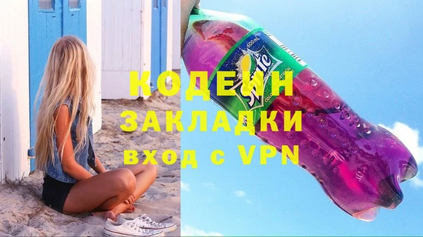 хмурый Елизово
