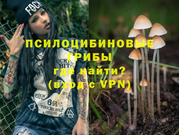 гидропоника Ельня