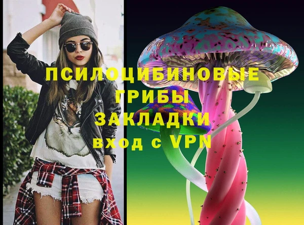 гидропоника Ельня